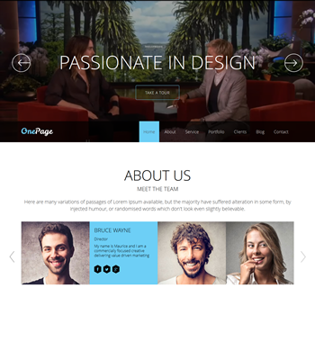 onepage350